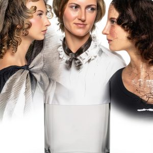 Literary Criticism eBook by Lume Books - Women Authors Analysis-0