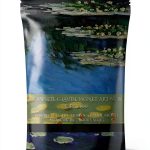 Monet's Masterpieces: The Ultimate Collection - Kindle Edition-0
